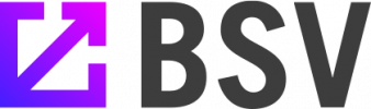 Basis Set Ventures (BSV)
